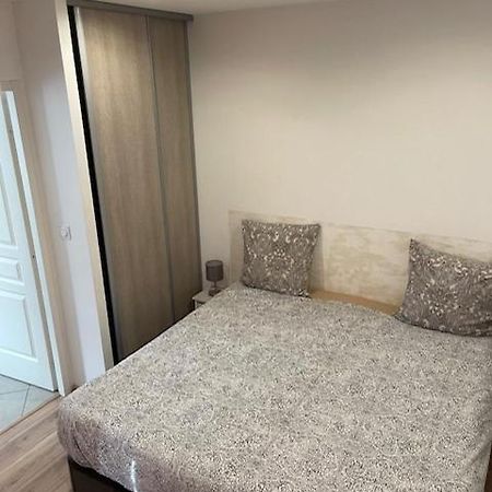 מייזיו Appartement Oasis Proche De Lyon Groupama Lcdl מראה חיצוני תמונה