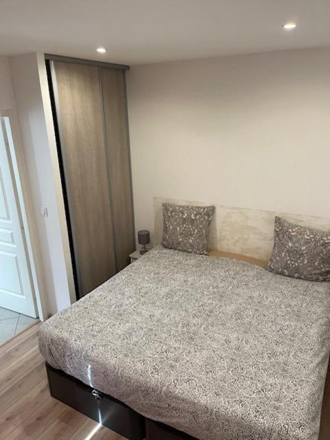 מייזיו Appartement Oasis Proche De Lyon Groupama Lcdl מראה חיצוני תמונה